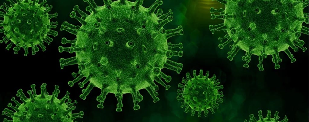 Versterken van het immuunsysteem tegen virussen