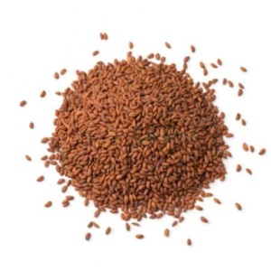 habbat al rashad zaadjes