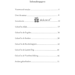 correcte geloofsovertuiging en wat het tegengaat inhoud