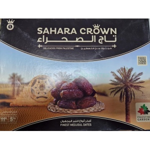 20230307 172338 rotated