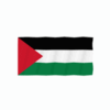palestine flag lottie animation 1