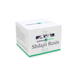 shilajit resin