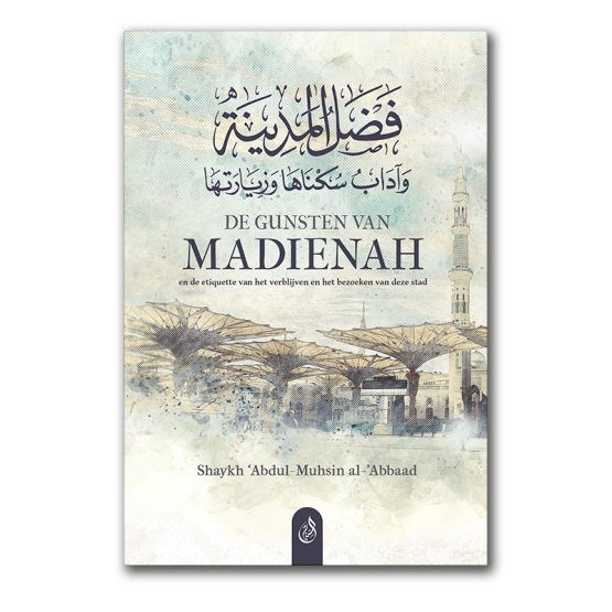 De Gunsten van Madienah - Afbeelding 1