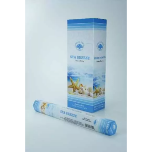 Green Tree Sea Breeze Wierookstokjes 20 stuks